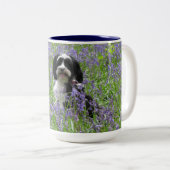 2 Couleurs Tasse de Terrier tibétain (Devant droit)