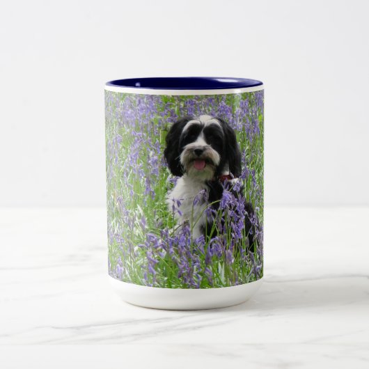 2 Couleurs Tasse de Terrier tibétain (Centre)