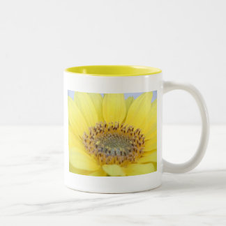 2 Couleurs Tasse de tournesol