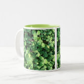 2 Couleurs Tasse de trèfle de Quatre-Feuille (Devant gauche)