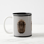 2 Couleurs Tasse de Trilobite (Gauche)