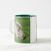 2 Couleurs Tasse de Weimaraner (Devant gauche)