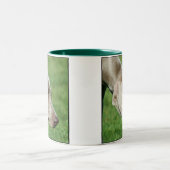 2 Couleurs Tasse de Weimaraner (Centre)