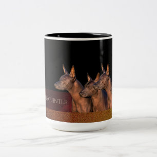 2 Couleurs Tasse de Xoloitzcuintle