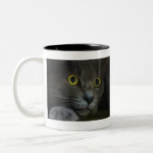 2 Couleurs Tasse d'intensité (Gauche)