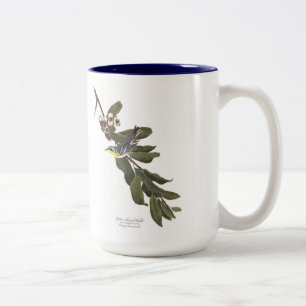 2 Couleurs Tasse d'oiseau d'Audubon, fauvette Jaune-Throated,