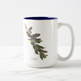 2 Couleurs Tasse d'oiseau d'Audubon, fauvette Jaune-Throated,