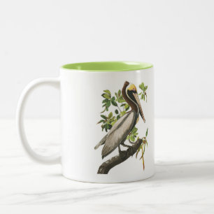 2 Couleurs Tasse d'oiseau d'Audubon, pélican Brown, 15 onces