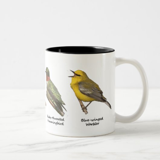 2 Couleurs Tasse d'oiseaux (Droit)