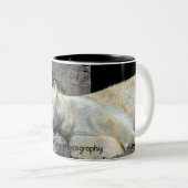 2 Couleurs Tasse d'ours blanc de sommeil (Devant droit)