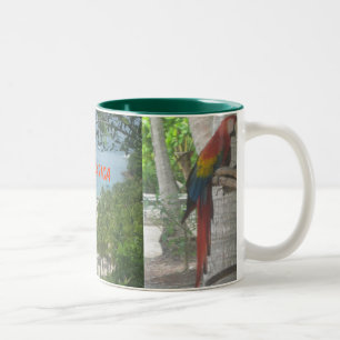 2 Couleurs Tasse du Costa Rica