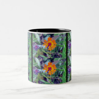 2 Couleurs Tasse du Hawkweed orange 1