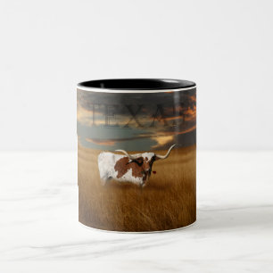 2 Couleurs Tasse du Texas