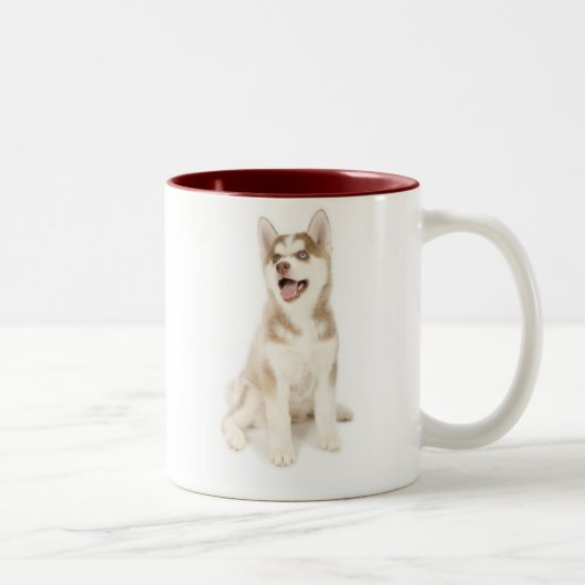 2 Couleurs Tasse enrouée (Droit)