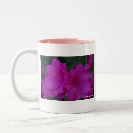 2 Couleurs Tasse fuchsia d'azalées (Gauche)