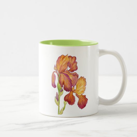 2 Couleurs Tasse Garden Iris (Droit)