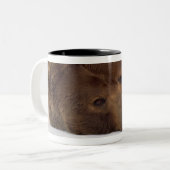 2 Couleurs Tasse grisonnante d'ours (Devant gauche)