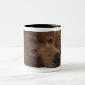2 Couleurs Tasse grisonnante d'ours (Centre)