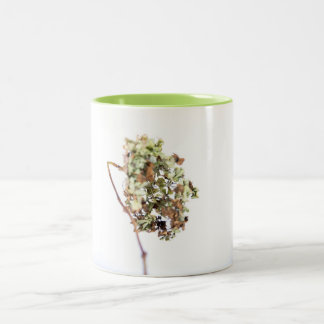 2 Couleurs tasse Hortensia