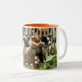 2 Couleurs Tasse Islandhund (Devant droit)
