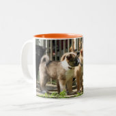 2 Couleurs Tasse Islandhund (Devant gauche)