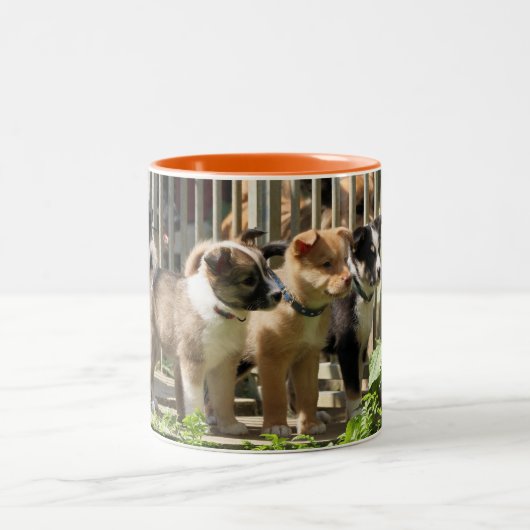 2 Couleurs Tasse Islandhund (Centre)