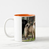 2 Couleurs Tasse Islandhund (Gauche)