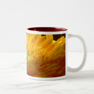 2 Couleurs Tasse jaune de Gerbera