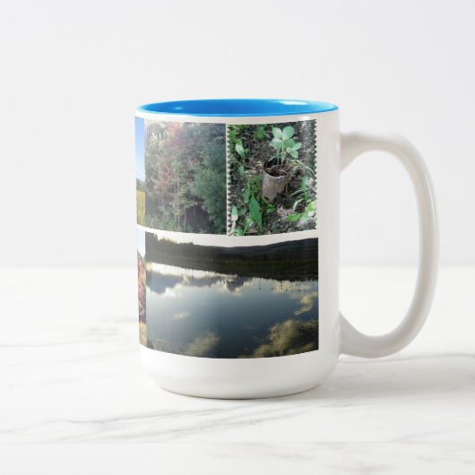 2 Couleurs Tasse Michias (Droit)