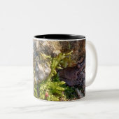 2 Couleurs Tasse Moss Rock  (Devant droit)