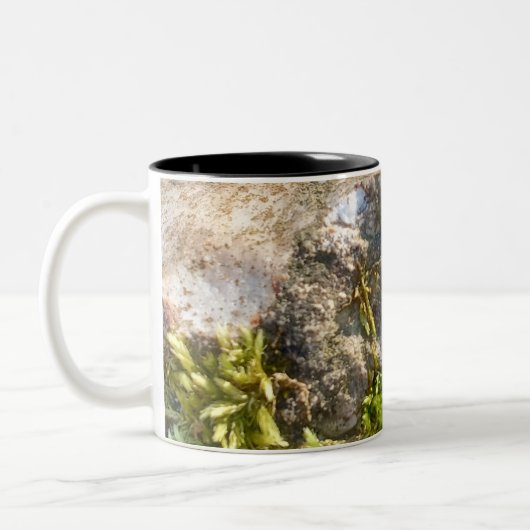 2 Couleurs Tasse Moss Rock  (Gauche)
