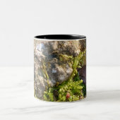 2 Couleurs Tasse Moss Rock  (Centre)