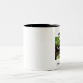 2 Couleurs Tasse papillon longwing zèbre. (Centre)