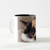 2 Couleurs Tasse paresseuse de chat (Devant gauche)