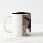 2 Couleurs Tasse paresseuse de chat (Gauche)