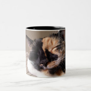 2 Couleurs Tasse paresseuse de chat