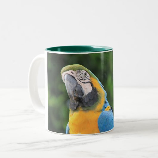 2 Couleurs Tasse Perroquet (Devant gauche)
