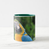 2 Couleurs Tasse Perroquet (Centre)