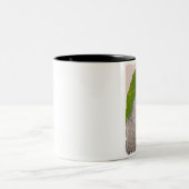 2 Couleurs Tasse - perroquet de quaker (Centre)