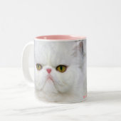 2 Couleurs Tasse persane blanche (Devant gauche)