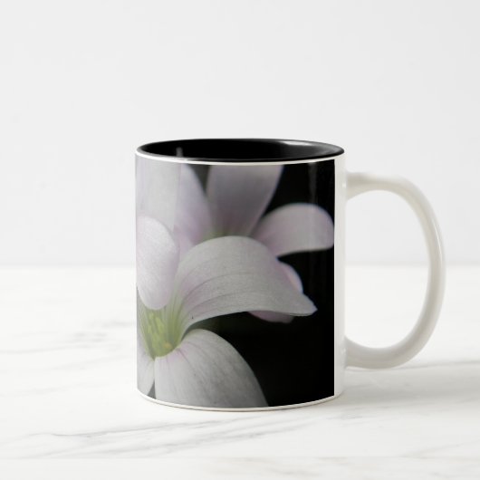 2 Couleurs Tasse pourpre de fleurs (Droit)