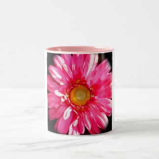 2 Couleurs Tasse rose de marguerite de Gerber
