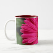 2 Couleurs Tasse rose de marguerite de Gerbera (Gauche)
