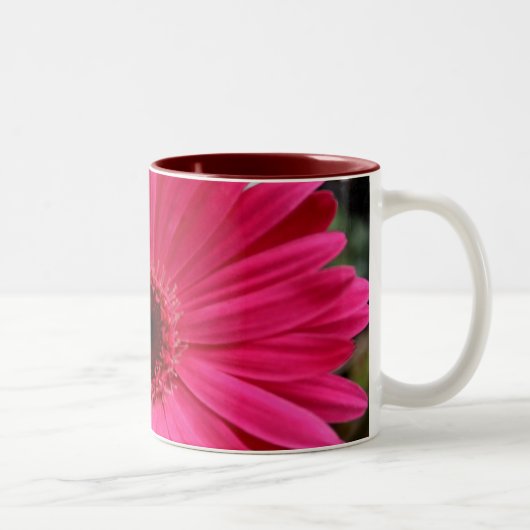 2 Couleurs Tasse rose de marguerite de Gerbera (Droit)