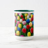 2 Couleurs Tasse Tulipes Pristines (Centre)