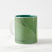 2 Couleurs Tasse verte de velours (Devant gauche)