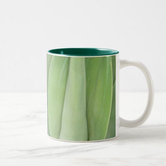 2 Couleurs Tasse verte de velours (Droit)