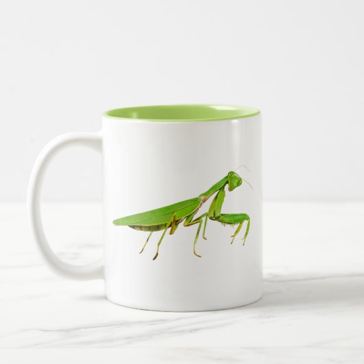 2 Couleurs Tasse verte géante de mante de prière (Gauche)