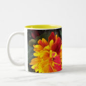 2 Couleurs Toujours dans la tasse de souci de fleur (Gauche)