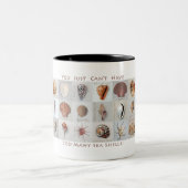 2 Couleurs Trop de tasse de coquilles (Centre)